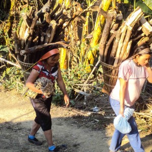 Girls gather wood in Darzo where the Bye, Bye Malaria Society has been using a special tea to help eradicate malaria. Photo Courtesy of Bye, Bye Malaria Society